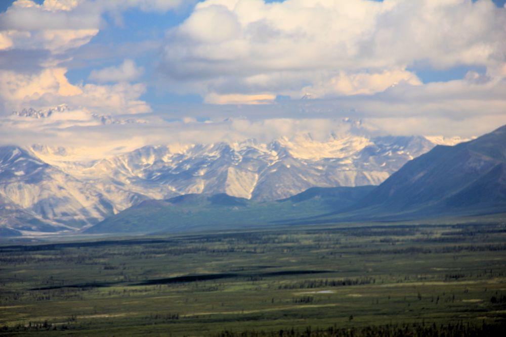 Outlook